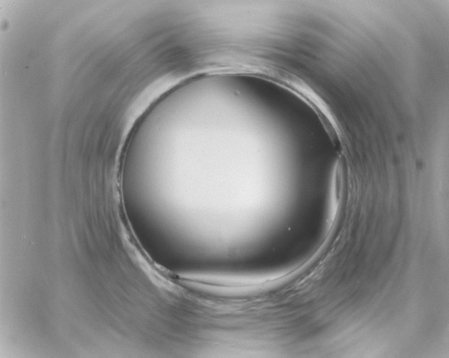 X0000057091485200510071858