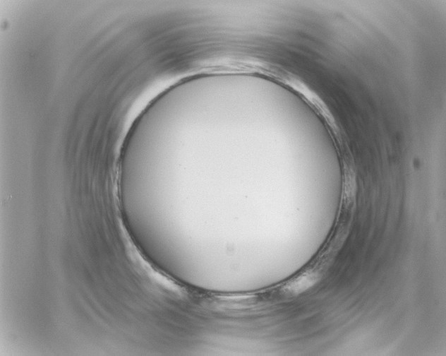 X0000057091486200510071858