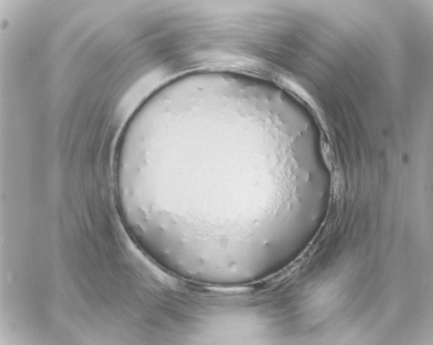 X0000057091487200510071858