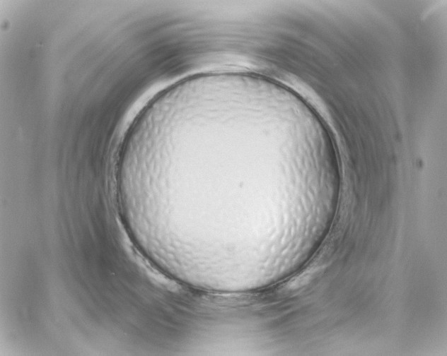 X0000057091488200510071858