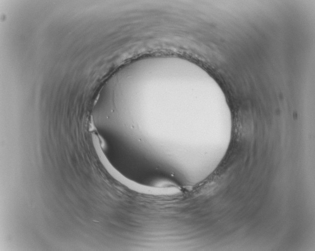 X0000057091490200510071857