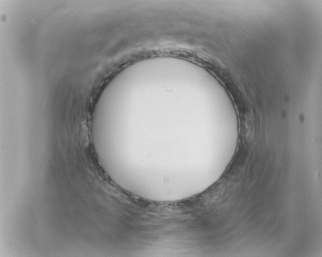 X0000057091493200510071857