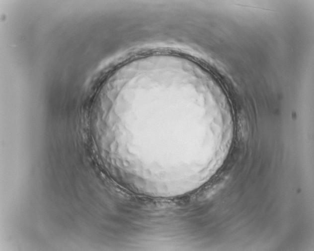 X0000057091494200510071857