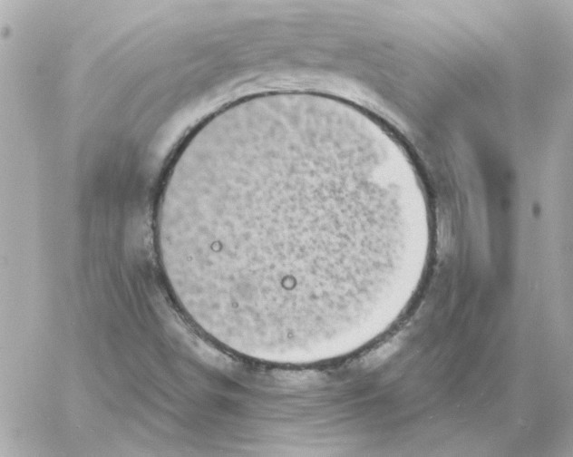 X0000057091498200510071857