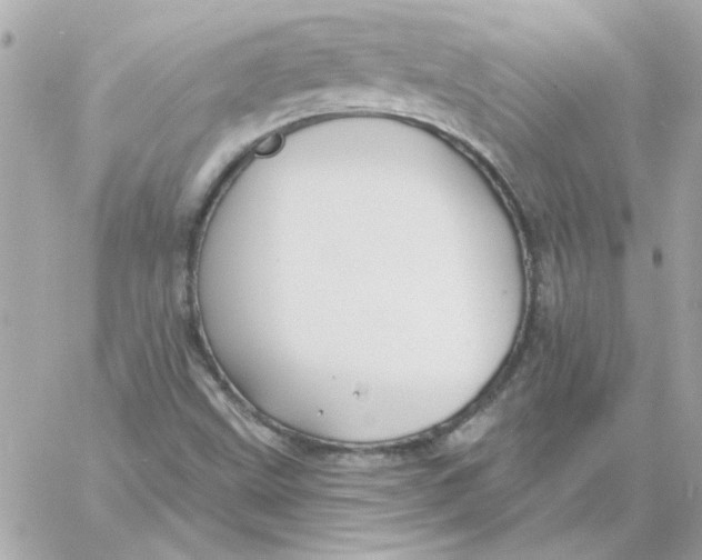 X0000057091499200510071857