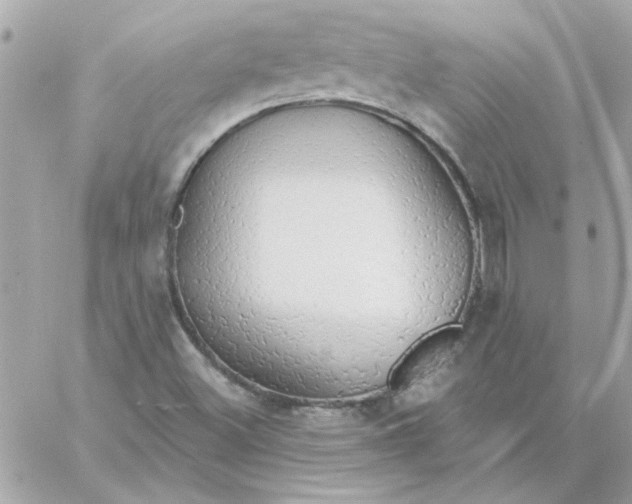 X0000057091500200510071857