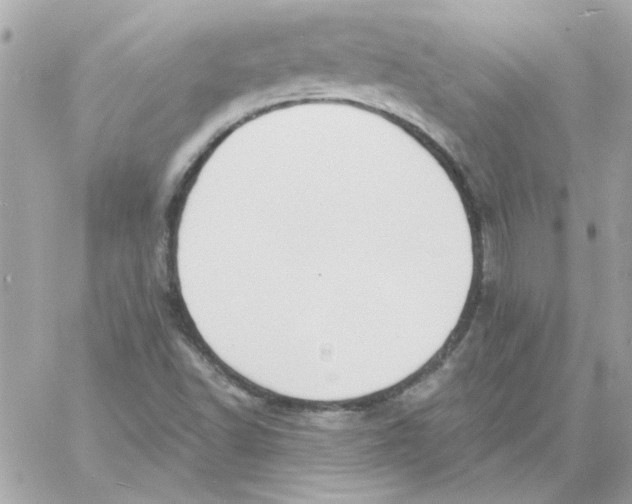 X0000057091502200510071857