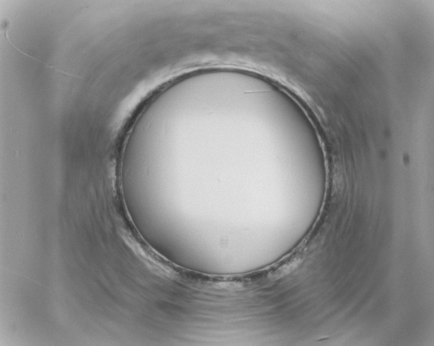 X0000057091503200510071857