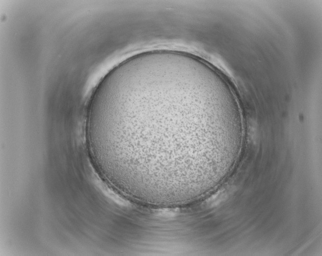 X0000057091504200510071857