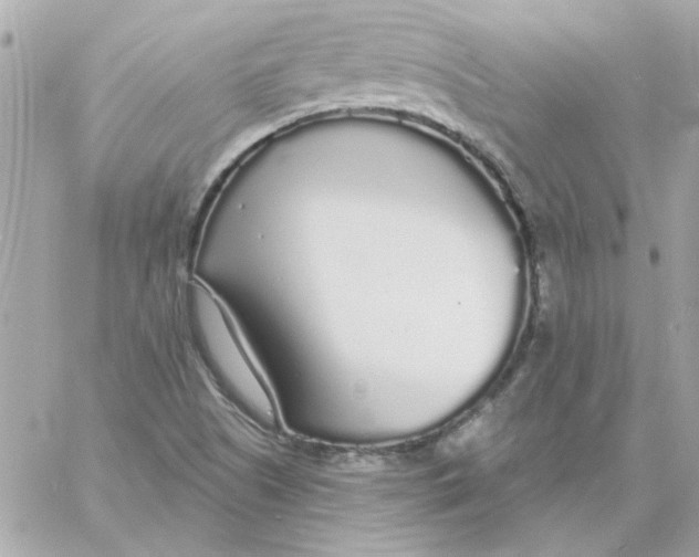 X0000057091505200510071857