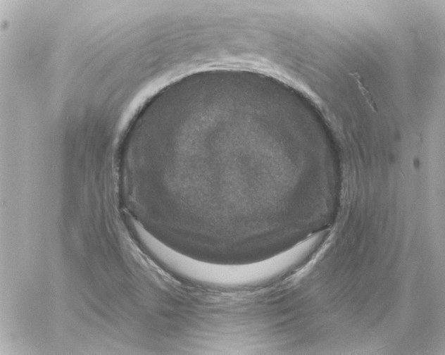 X0000057091506200510071857