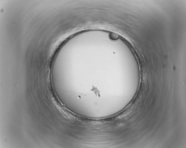 X0000057091507200510071857