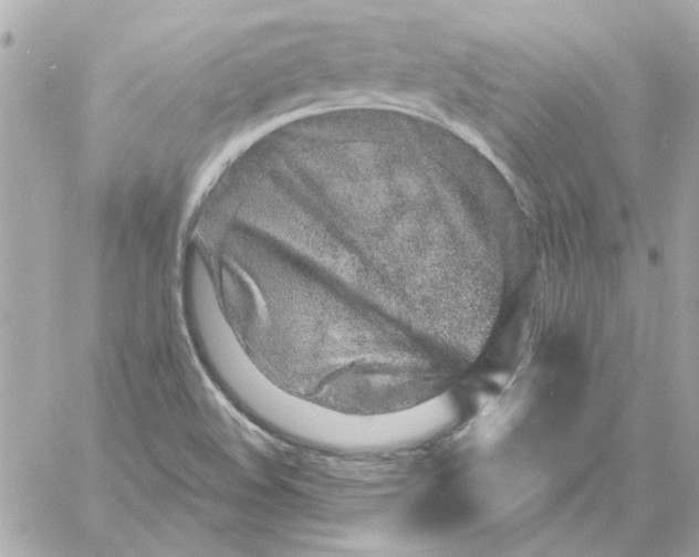 X0000057091508200510071858