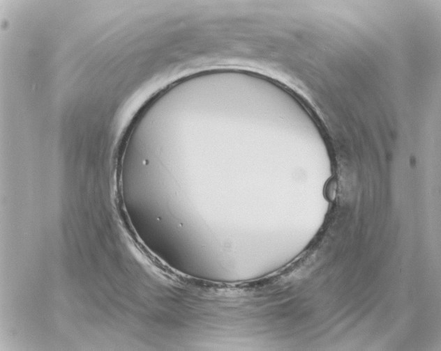 X0000057091511200510071858