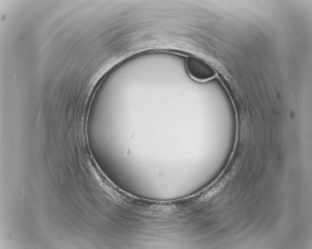 X0000057091513200510071858