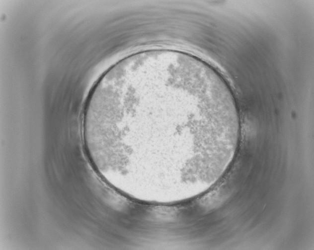 X0000057091514200510071858