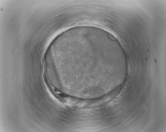 X0000057091515200510071858