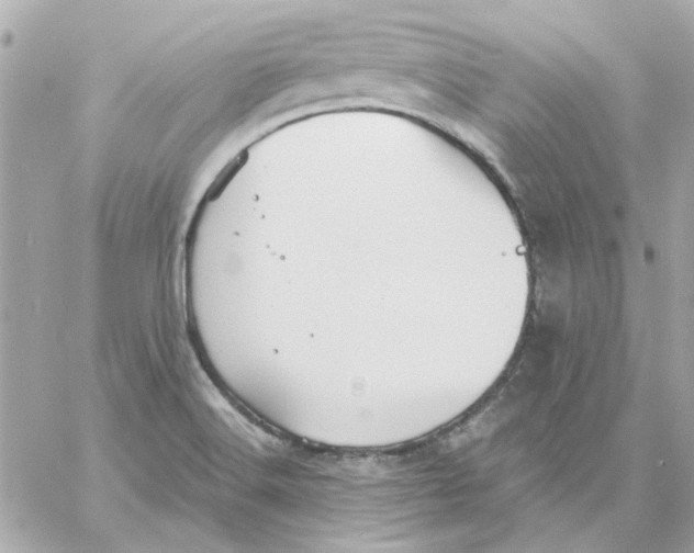 X0000057091516200510071858