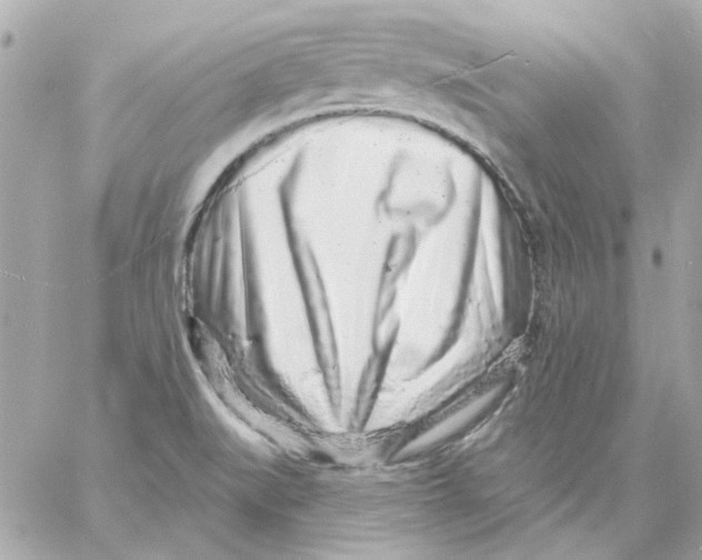 X0000057091519200510071858