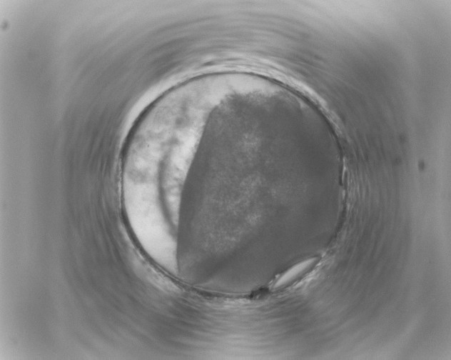 X0000057091522200510071858