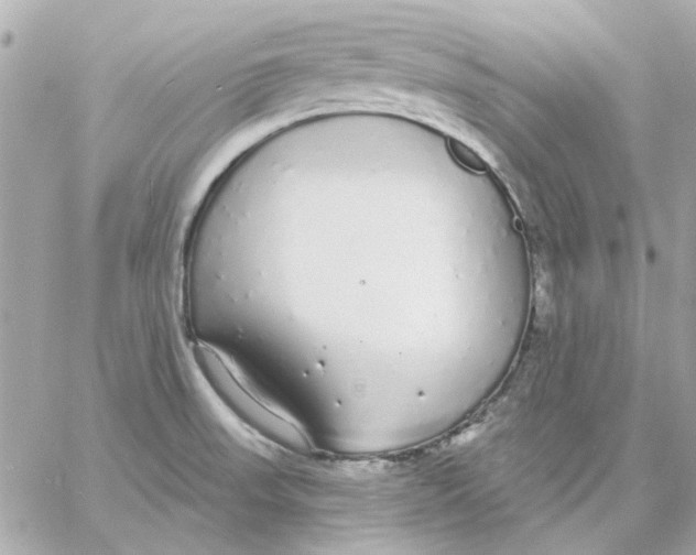 X0000057091523200510071858