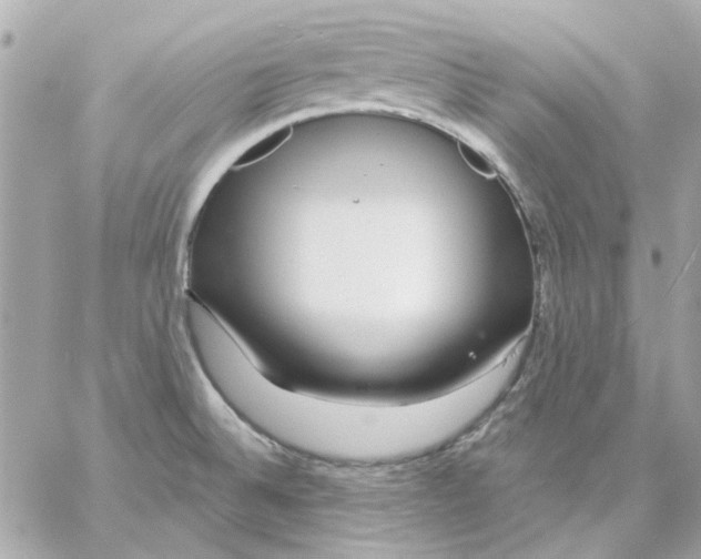 X0000057091524200510071858