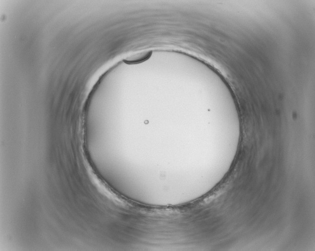 X0000057091526200510071858