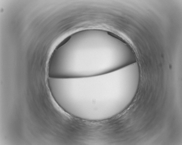 X0000057091528200510071858