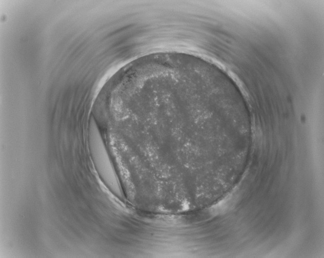 X0000057091529200510071858