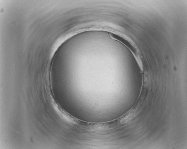 X0000057091530200510071858