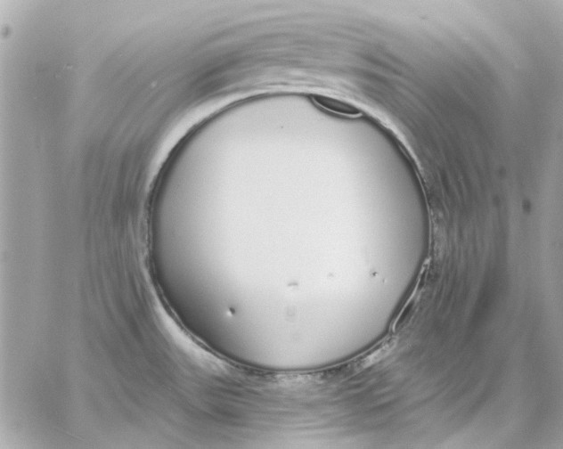 X0000057091531200510071858