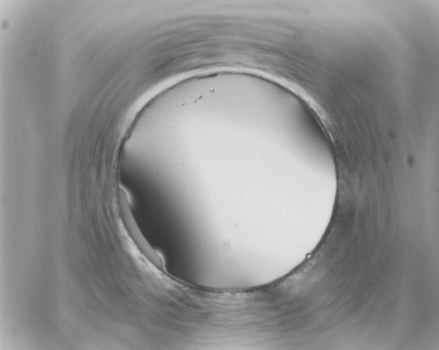 X0000057091534200510071858