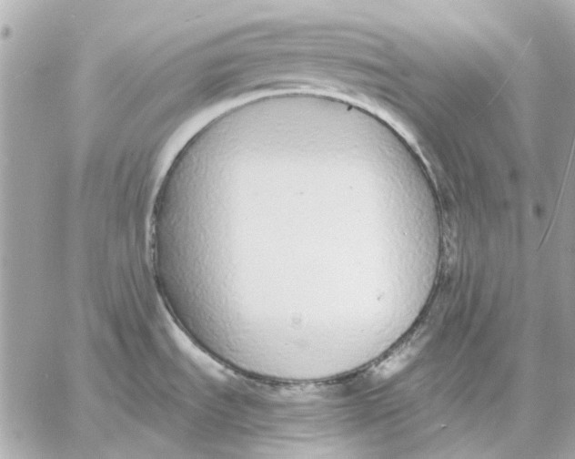 X0000057091535200510071858