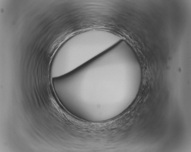 X0000057100002200509090924