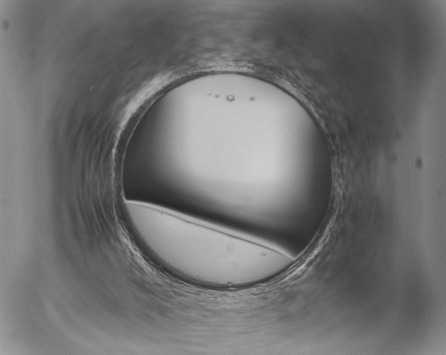 X0000057100008200509090924