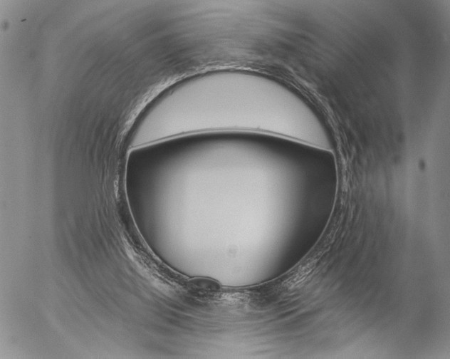 X0000057100060200509090923