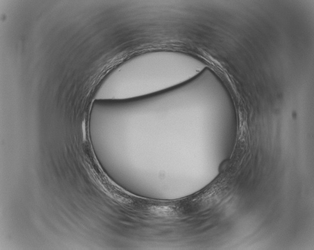 X0000057100061200509090923