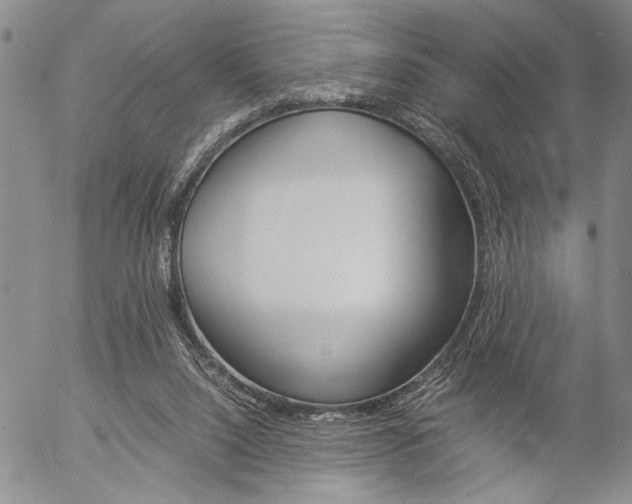 X0000057100064200509090923