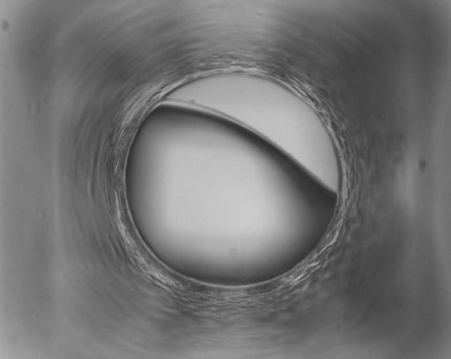 X0000057100097200509090923