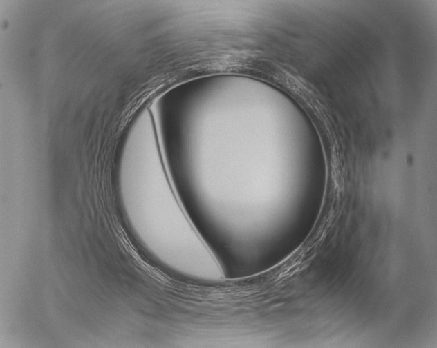 X0000057100105200509090922
