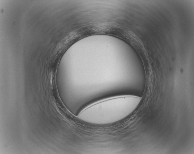 X0000057100115200509090922