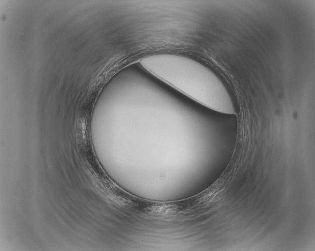 X0000057100117200509090922