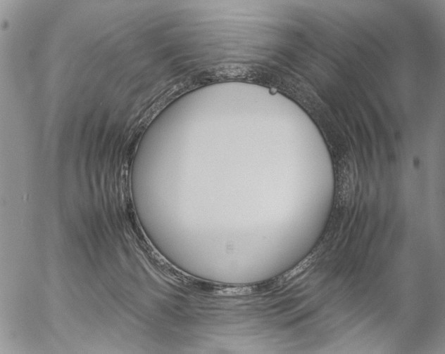 X0000057100126200509090922