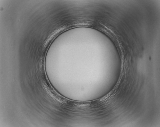 X0000057100155200509090921