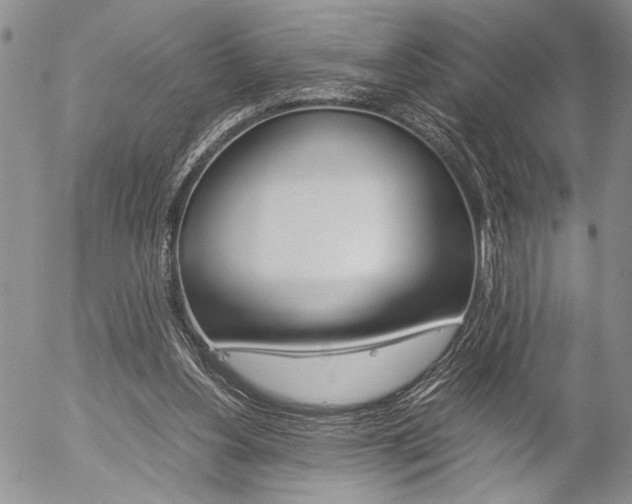 X0000057100156200509090921