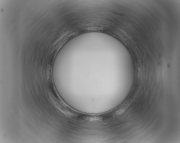 X0000057100165200509090921