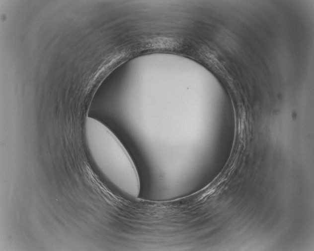 X0000057100249200509090920