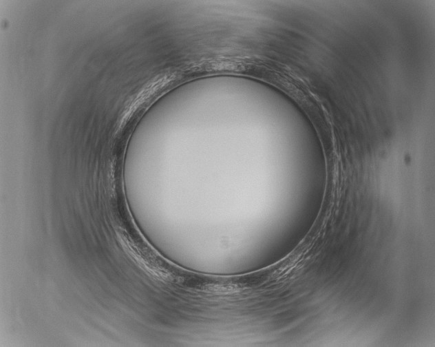 X0000057100250200509090920