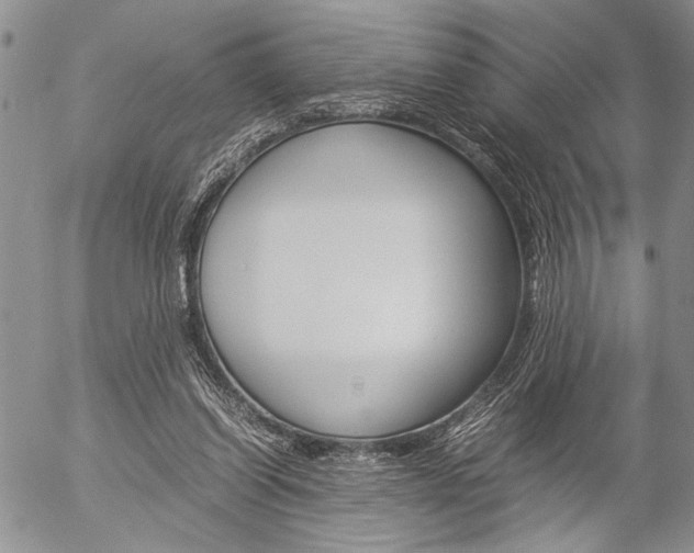 X0000057100254200509090920