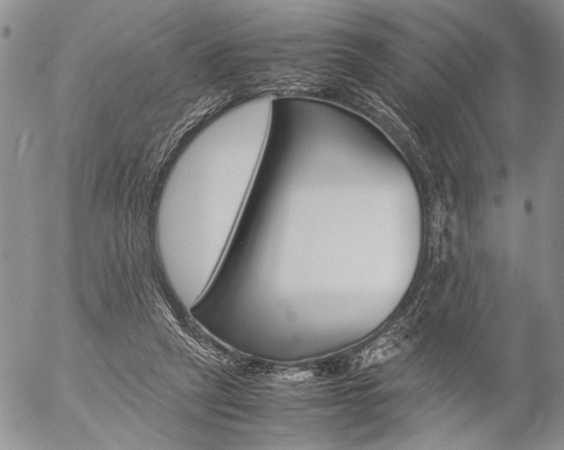 X0000057100257200509090920